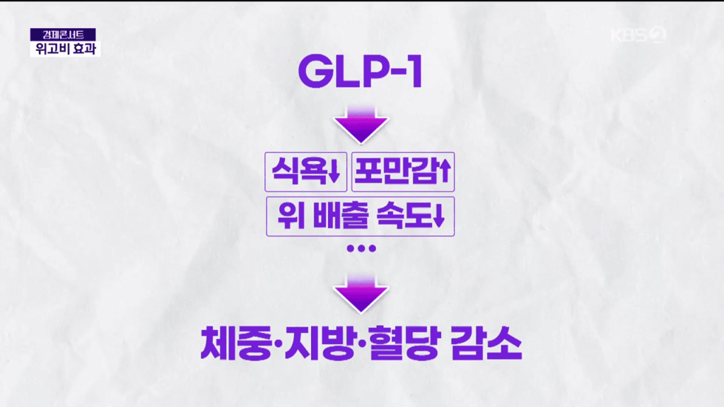 위고비효과