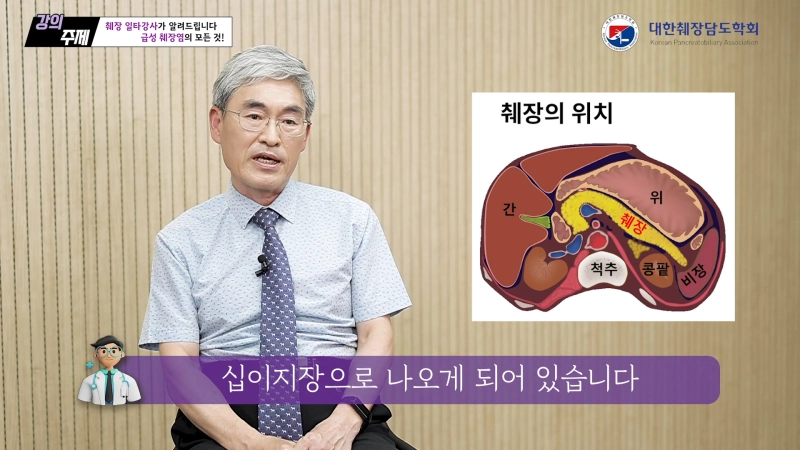 췌장의 위치